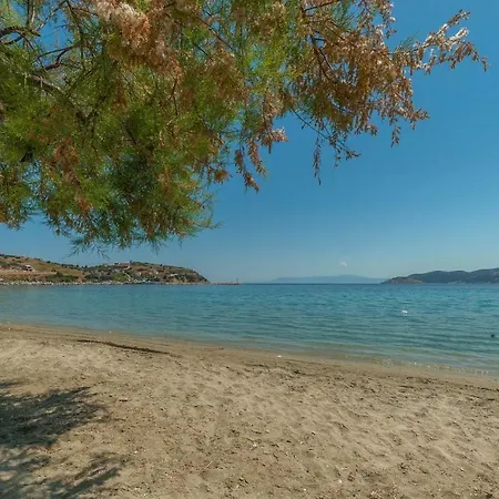 Dom wakacyjny Spela House *